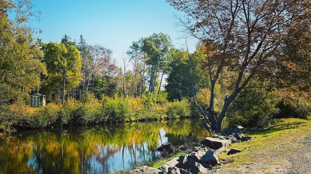 Skye River Trail Mi'kmaw walking destination